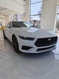 יבוא אישי פורד מוסטנג (Ford Mustang)