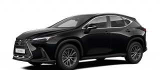 lexues nx lexues nx