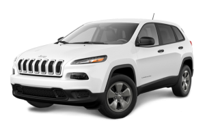 צירוקי יבוא אישי